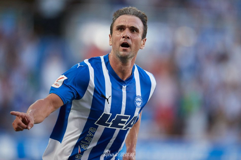 开展合作 开展合作