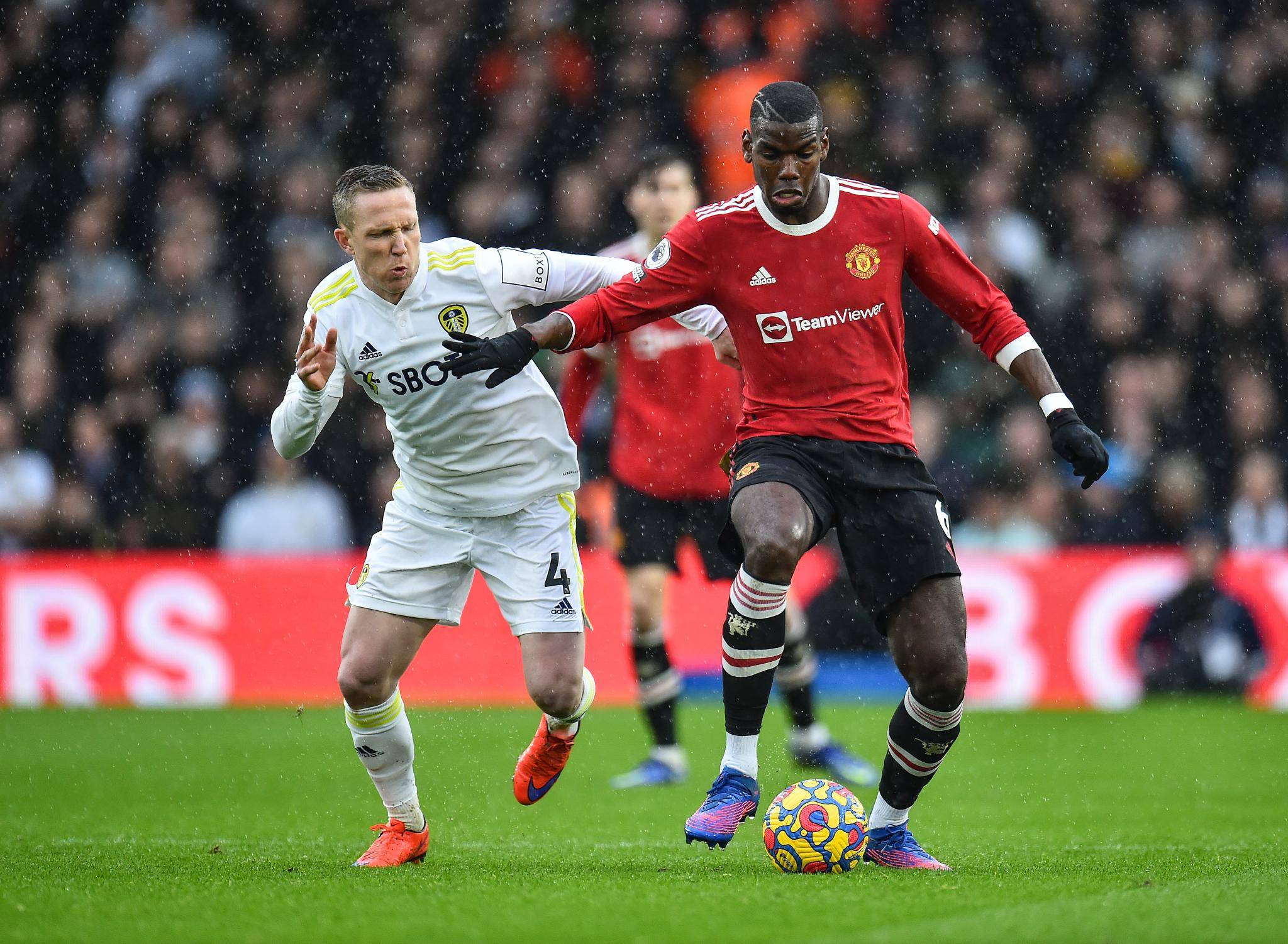 入过新鲜血 入过新鲜血